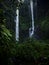 Sekumpul waterfall in Buleleng, Bali