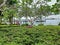 Sekupang Batam Harbor Park with a background where domestic ships dock