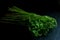 Selaginella argentea Spring Vegetable