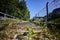 Seldom used, weathered railway line that is gradually overgrown by plants.