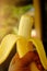 Select the focal point of the ripe, yellow bananas being peeled in hand. Blur background, warm light shines from the sides.