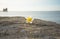 Select focus flower drop on the ground, soft background the sea