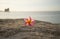 Select focus flower drop on the ground, soft background the sea