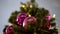 Select focus purple christmas decoration at christmas tree