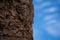 Selected focus Close up on termite infested wood pole with blue sky background