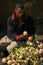 Selecting turnips in the market. Skoura. Morocco.