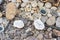 Selection of colorful minerals on a traditional Moroccan market