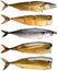 A selection of cooked mackerels.