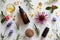 Selection of essential oils and herbs on a white background