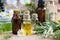 Selection of essential oils and herbs on a wooden background