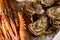 Selection of fresh oysters and cooked shrimp on a bed of ice in a seafood market