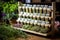 a selection of healthful herbal teas in a wooden rack