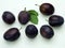 A selection of plums