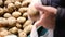 Selection of potatoes on market. Purchase of vegetables. Natural products in store. Buyer with package. Unwashed