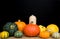 A Selection of Pumpkins, Winter Squash and Gourds