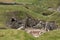 Selection of ruins at Skara Brae, Orkney, Scotland.