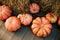 Selection of several pumpkins arranged on long wood table at market
