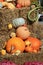 Selection of squash and pumpkins on stacks of hay