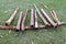 Selection of unprepared Didgeridoos on the ground