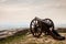 Selective blur on a medieval cannon on wheels, an old weapon, rusty, standing and overlooking the plains of vojvodina, serbia,