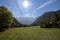 Selective blur on a typical alpine landscape, a mountain glade, a clearing field in the middle of an alpine forest