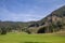 Selective blur on a typical alpine landscape, a mountain glade, a clearing field in the middle of an alpine forest