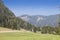 Selective blur on a typical alpine landscape, a mountain glade, a clearing field in the middle of an alpine forest