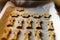 Selective closeup shot of delicious cute Christmas cookies in a tray with different shapes