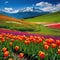 Selective of fantasy multicolor tulip flower blooming in garden with landscape meadow mountain spring