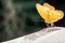 Selective focus beautiful Himalayan Small Leopard butterfly in nature background.