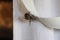 Selective focus of a big spider walking on the clothes at a clothesline