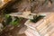 Selective focus of blessed holy water running out from water spout at Vat Phou (Wat Phu), southern Laos