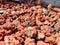 Selective focus of clay rocks being dried in the sun