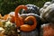 Selective focus closeup of orange decorative pumpkins in the form of a swan