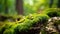 Selective focus of a clump of green moss covering a rock in the forest. Generative Ai