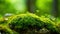 Selective focus of a clump of green moss covering a rock in the forest. Generative Ai