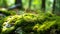 Selective focus of a clump of green moss covering a rock in the forest. Generative Ai