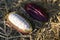 selective focus cocoa fruit pulp white large seed Sliced