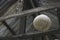 Selective focus of coconut coir or shell hanging