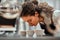 Selective focus of coffee shop workers checking coffee quality during coffee food function. Side view. Close up view