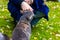 Selective focus of a cute cat being touched by its owner against autumnal leaves of grasses