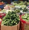 Selective focus of different varieties of vegetables in a local indian market