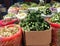 Selective focus of different varieties of vegetables in a local indian market