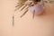 Selective focus. ears of wheat stand in a vase on a pink background. monochrome, minimalism