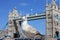 Selective focus on an English seagull. in the background the ancient tower of london