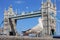 Selective focus on an English seagull. in the background the ancient tower of london