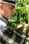 selective focus of farmer touching corn near green leaves.