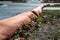 selective focus on filter sock around exposed dirt at a construction site to prevent stormwater erosion and runoff