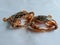 Selective focus of Fresh Crucifix Crab isolated on a White Background