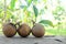 Selective focus of fresh harvest sapodilla or chico tropical fruit with copy space.